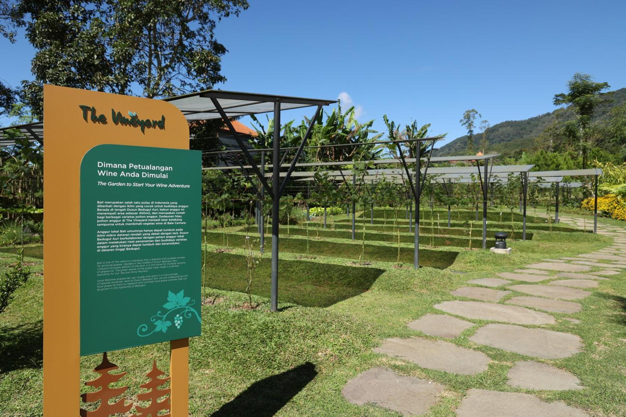 Отель Dusun Bedugul Asri Экстерьер фото